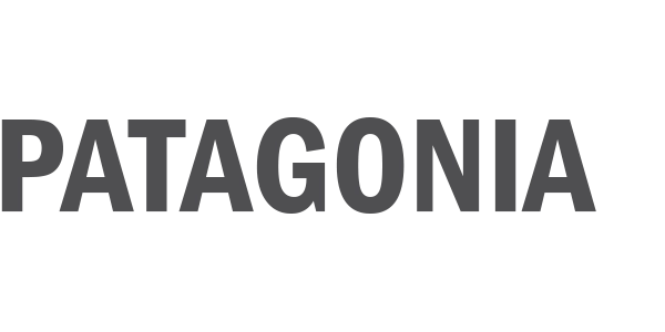 patagonia logo 