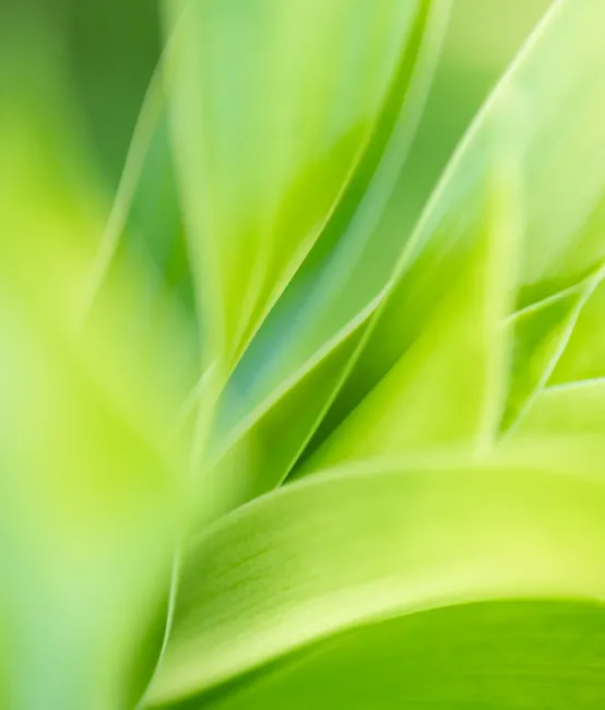 HeiQ-odor-control-freshness-industry-card